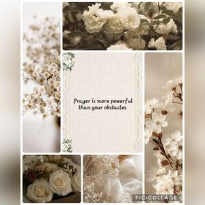 Meet your Posher, Charity